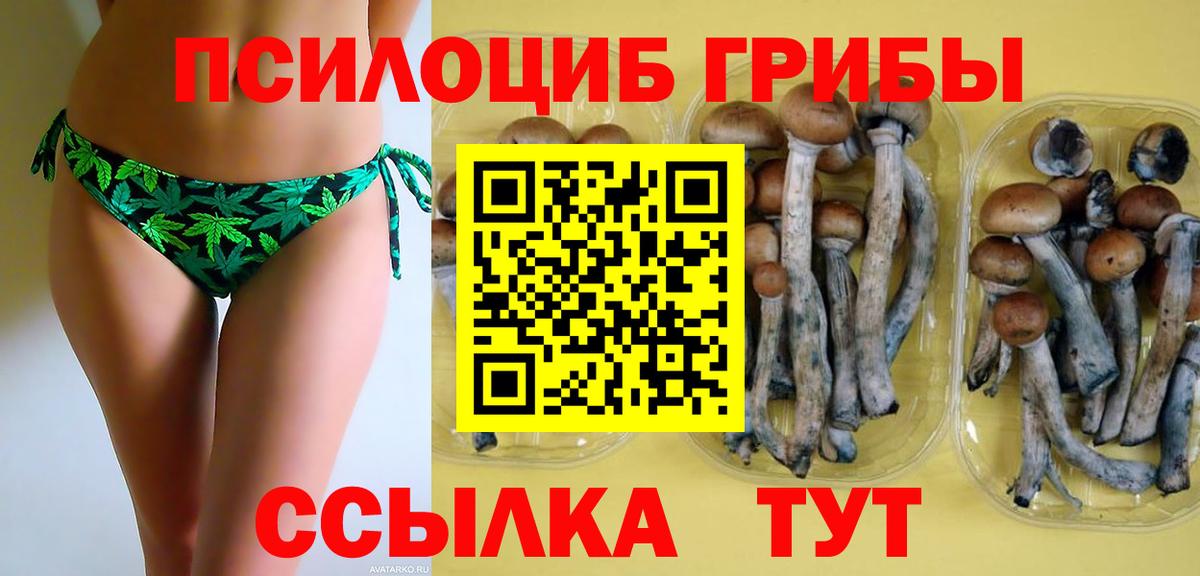 Псилоцибиновые грибы ЛСД Новоалександровск