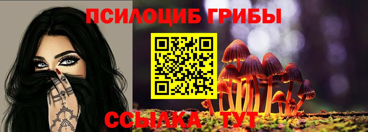 Галлюциногенные грибы мицелий  Вход с VPN  Новоалександровск 